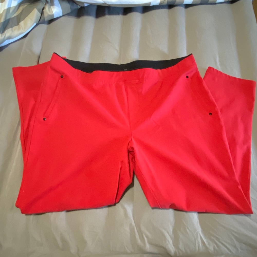 HUE Dress pants